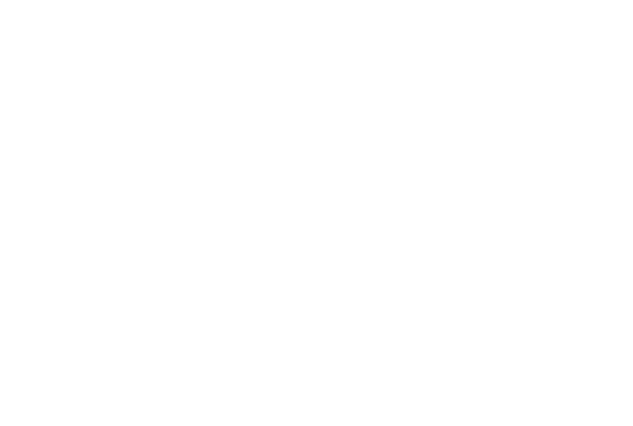 ADN G.S. LOG